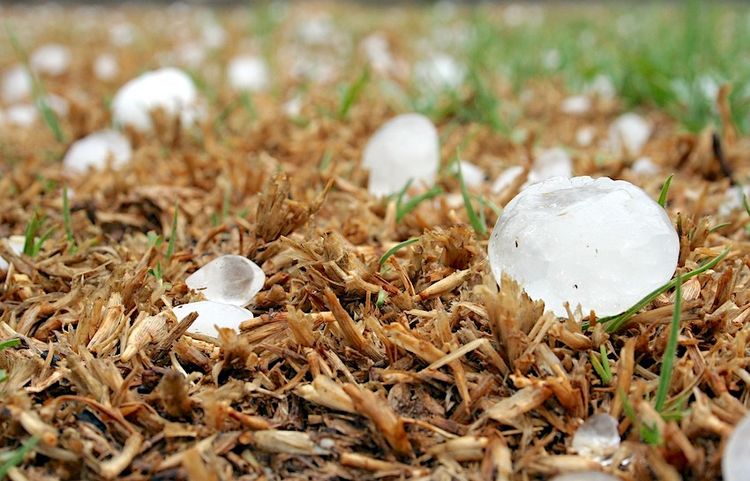 COUP DE POUCE - Appel pour sauver 90 ha de vignes en Madiran
